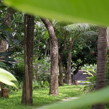 Onusa Retreat プランブリー エクステリア 写真